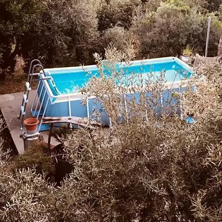 Serranello Azienda Agricola
