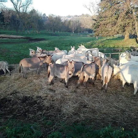 Serranello Azienda Agricola Appartement Bono (Sassari)