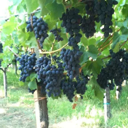 Appartement Serranello Azienda Agricola