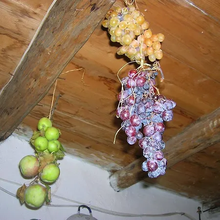 Serranello Azienda Agricola Appartement