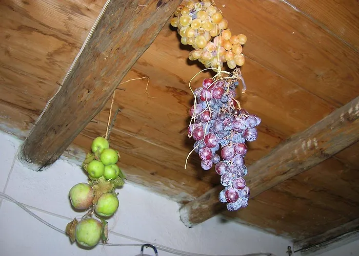 Serranello Azienda Agricola 아파트